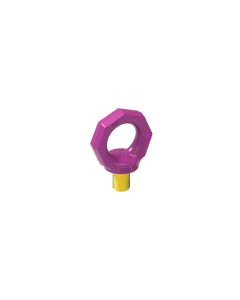 RUD ICE-Ringschraube starr IRS-LT